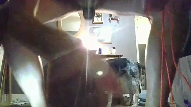stcpot's Webcam Show