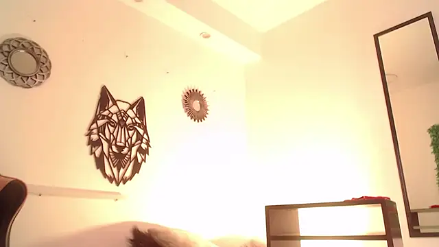 Anhonymus' Webcam Show