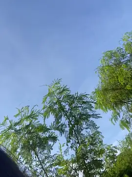 RoomExotic11's Webcam Show