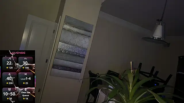 PlaywithSnM's Webcam Show