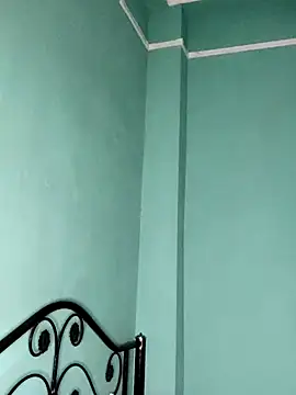 LARAfun's Webcam Show