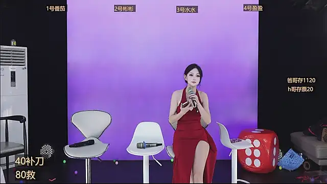 SK-001's Webcam Show