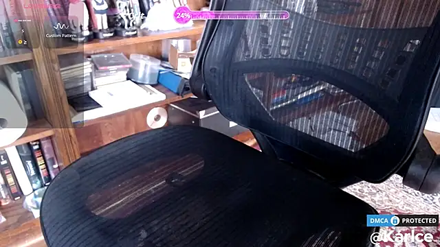 karlce's Webcam Show