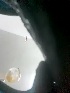 n2flix's Live Sex Cam Show