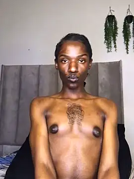 Trans_fairy's Webcam Show