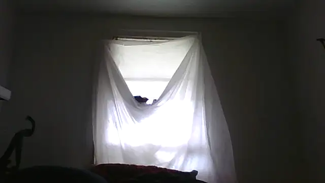 BrickRockStone's Webcam Show