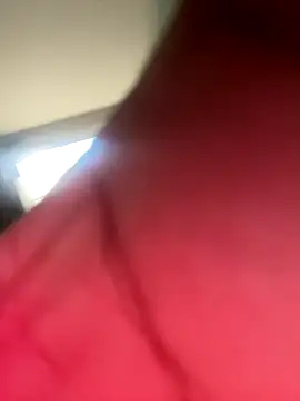 AFlyGuy's Webcam Show