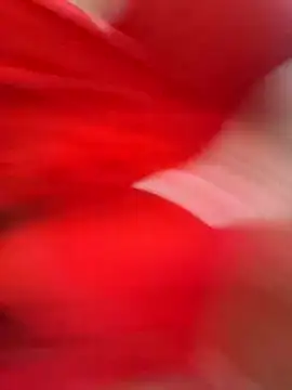 Oryk___'s Webcam Show