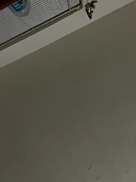 Webkamerová show daddyjake101
