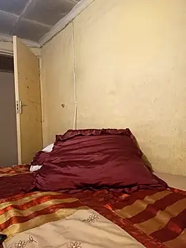 Hlugarsu's Webcam Show
