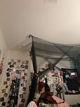 bunnibunnyz's Webcam Show