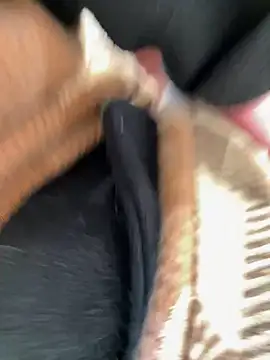 VendiMur's Live Sex Cam Show