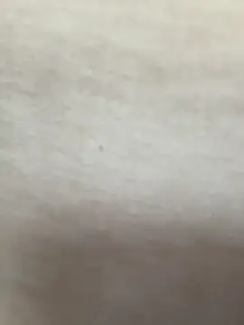 didihairypussy's Live Sex Cam Show