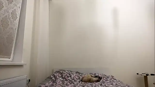 SlaggedForbear's Live Sex Cam Show