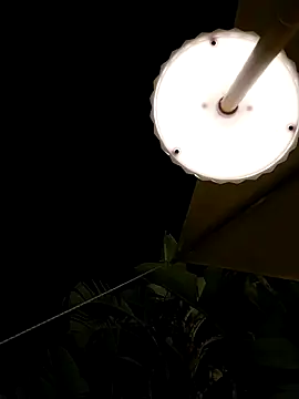 Alexvit2616's Live Sex Cam Show