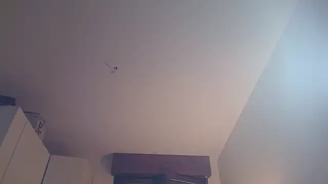 Regina_5's Live Sex Cam Show
