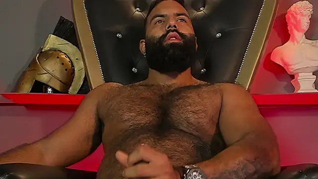BeardAndrew's Webcam Show