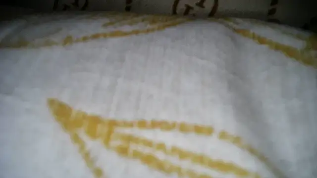 ASSQUEEN37Xx's Webcam Show