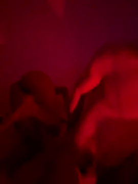Dante_cati's Webcam Show