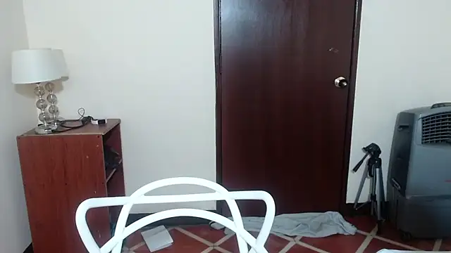 EtherealVice3's Webcam Show
