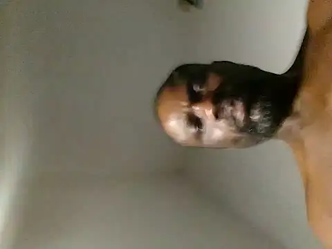 Kwasi-a's Live Sex Cam Show