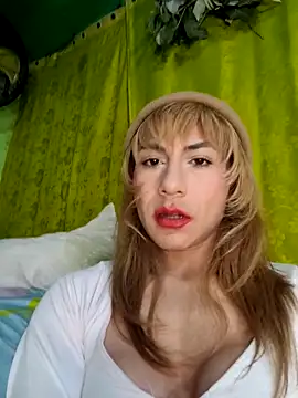 Show Webcam de Evehamp