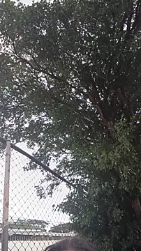 sweet_outdoor_charm's Webcam Show