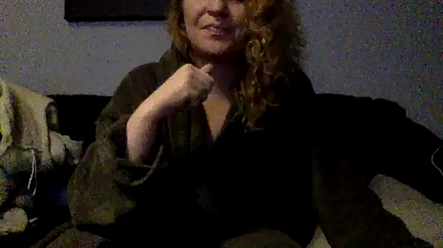 Dinslavnu webcam show