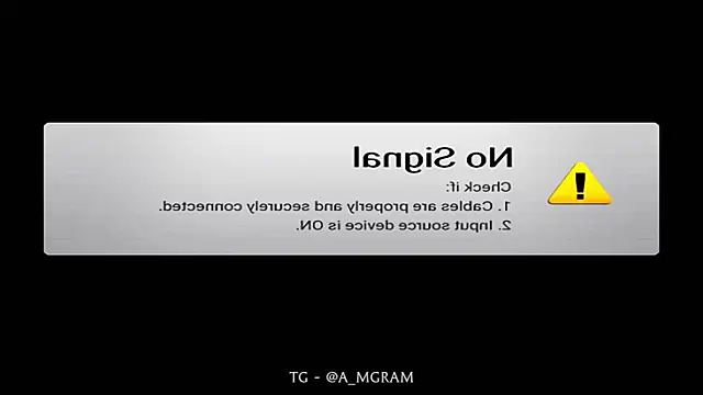 disco_elysium's Webcam Show