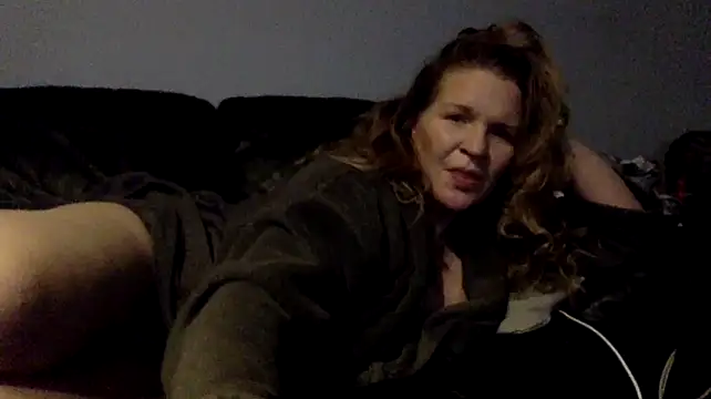 Dinslavnun Webbikameraesitys