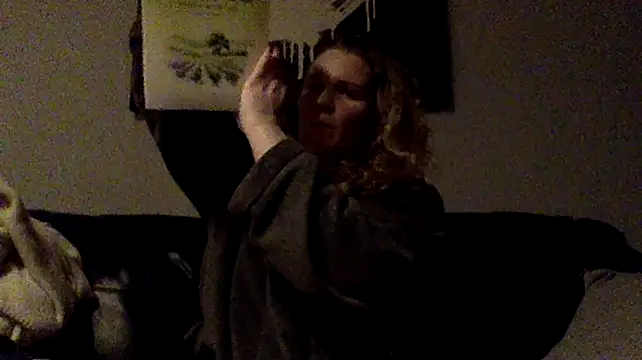 Dinslavnun Webbikameraesitys