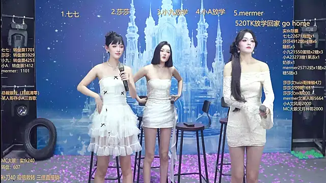 SK010のウェブカメラショー