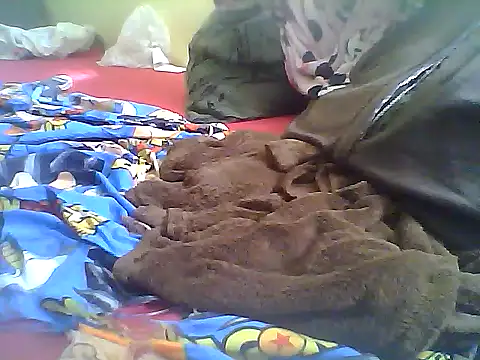 MorenaJapinha's Webcam Show