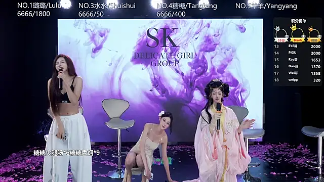 SK-001のウェブカメラショー