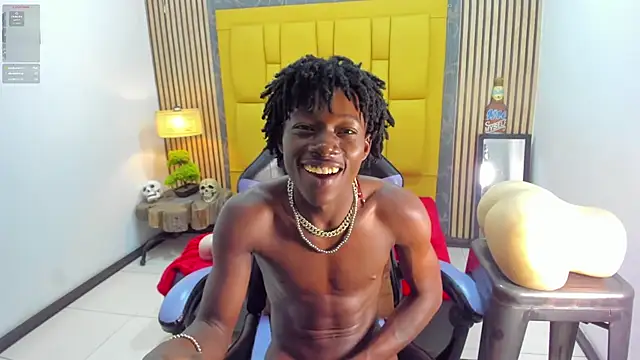 Show webcam de chimi88