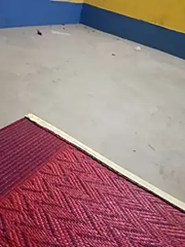 soybur's Webcam Show