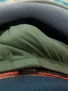 Show webcam de asmar_14