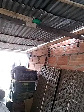 Show de hoteder na webcam