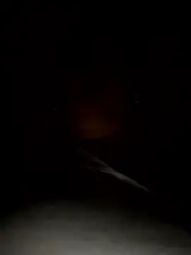 camelia3's Webcam Show