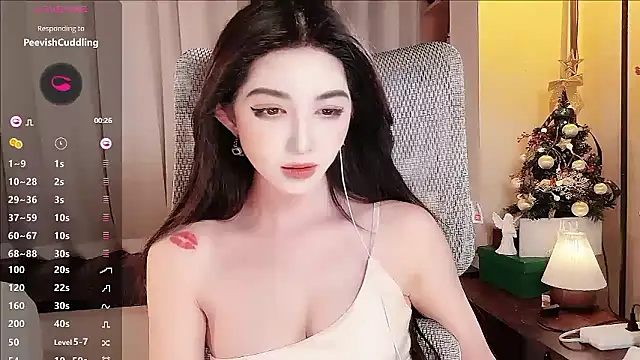 Show modela vyizh- na web-kameri