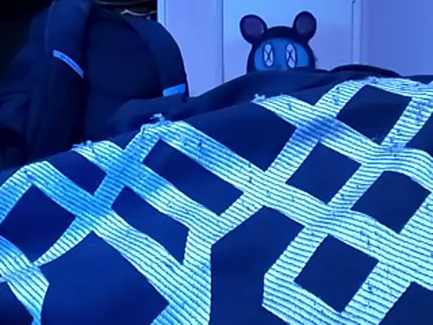 Show webcam de Blkstylion