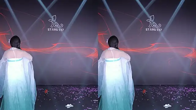 STARS-737 网络视讯表演