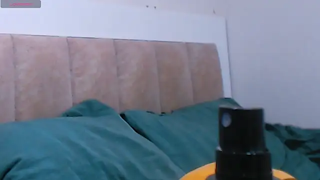 Pizda-Drozdaのウェブカメラショー