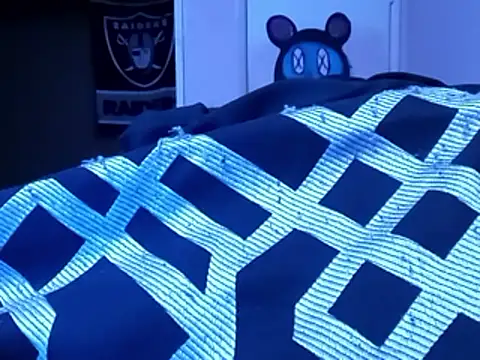 Blkstylion's Webcam Show