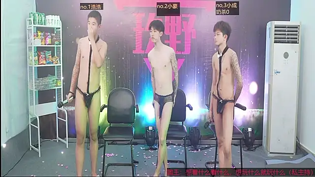 didilaile2026's Webcam Show