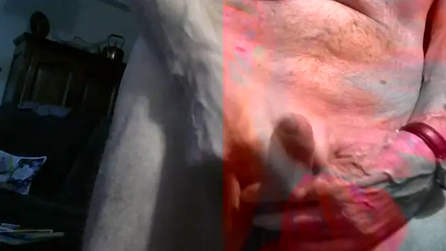 Show webcam de jean074213