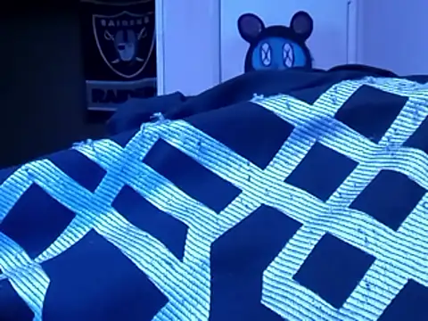 Blkstylion's Webcam Show