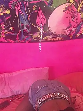 Show webcam de dianagonewild