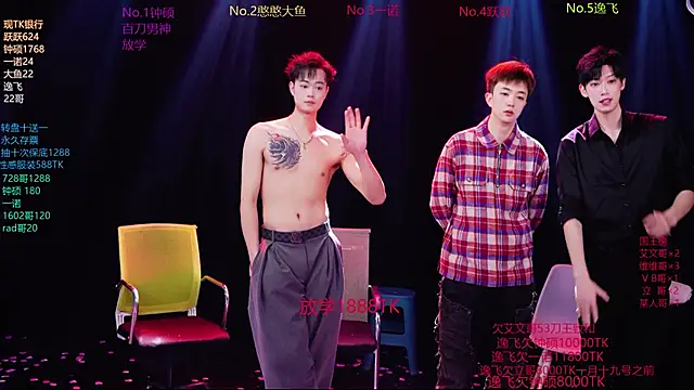 BOYGAYHOUSE1 webcam show