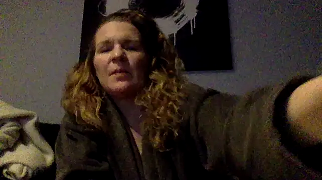 Dinslavnu webcam show